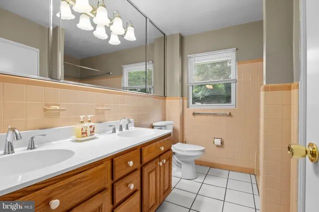 a bathroom with a sink a toilet and a mirror