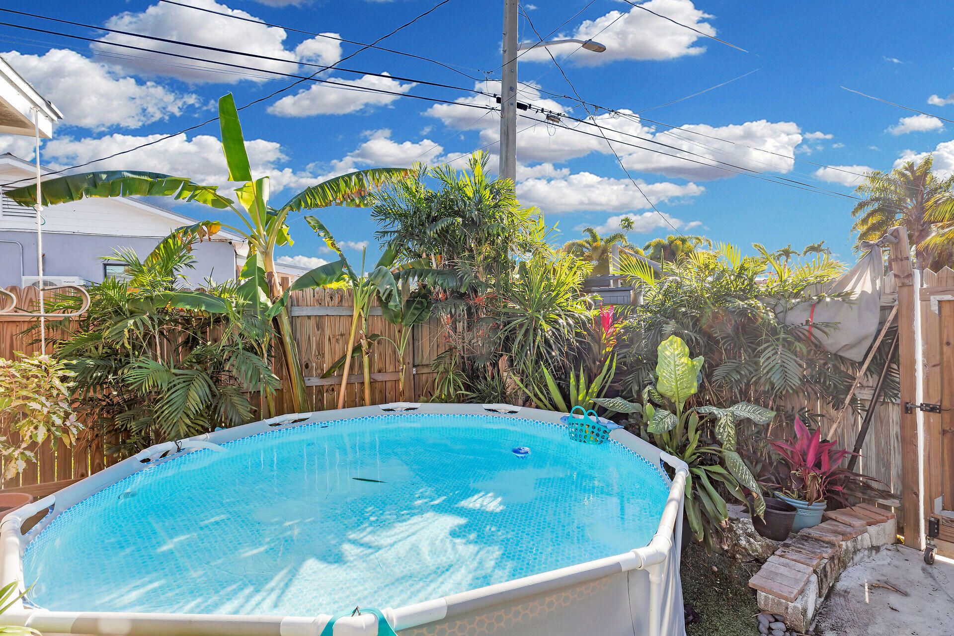 1417 8th Street Key West, FL 33040 - Photo 42 of 44 a view of a backyard