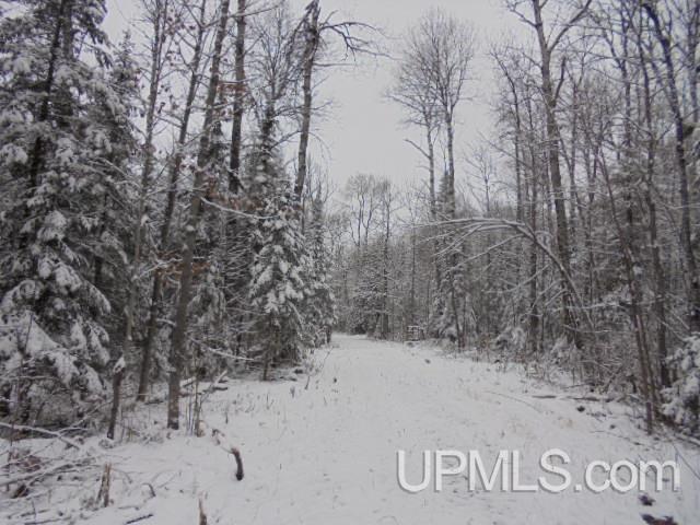 888 Fs 400 Road Ewen, MI 49925 - Photo 12 of 13 Gallery Image 12