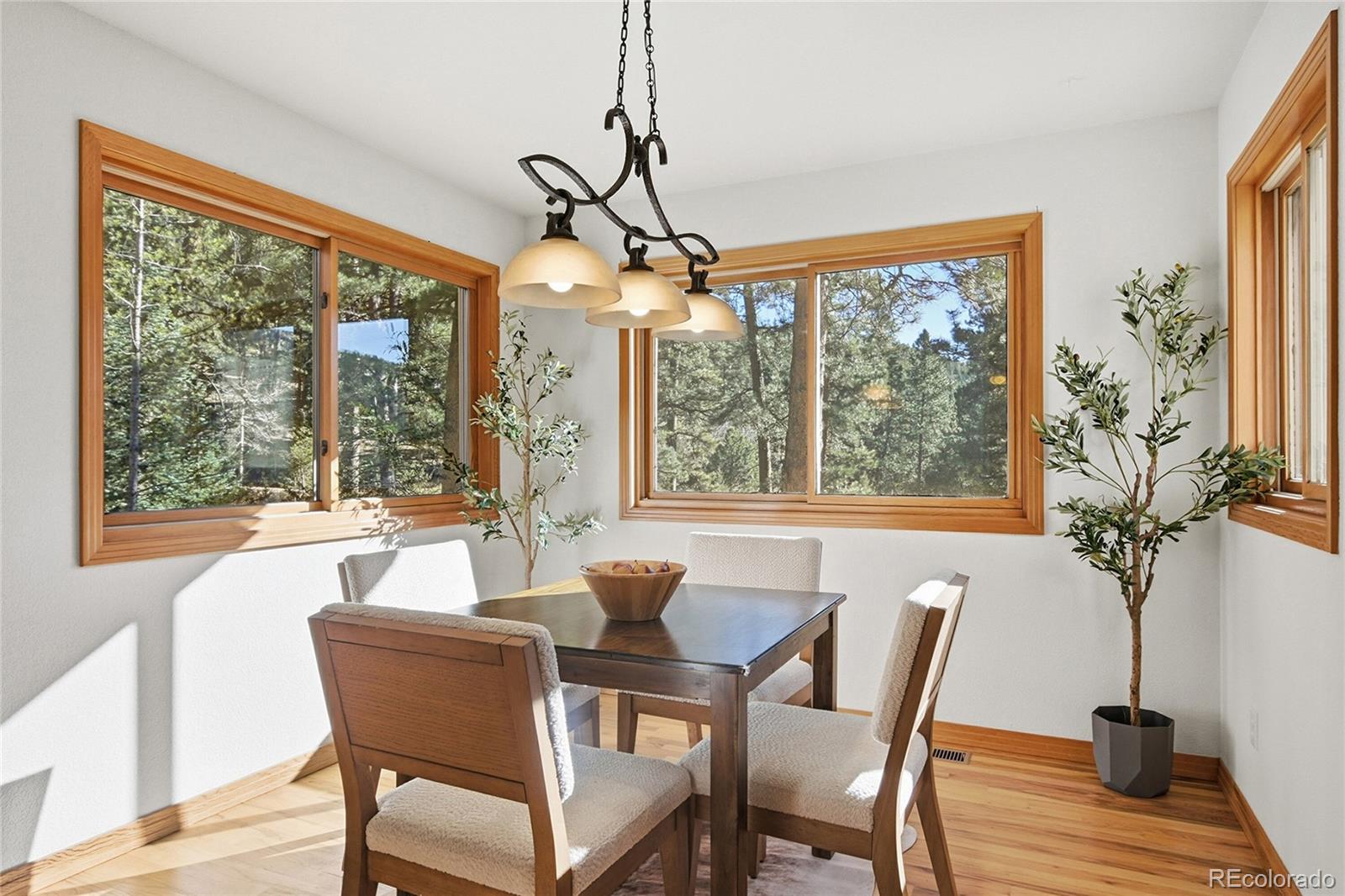 7030 South Blue Creek Road Evergreen, CO 80439 - Photo 24 of 41