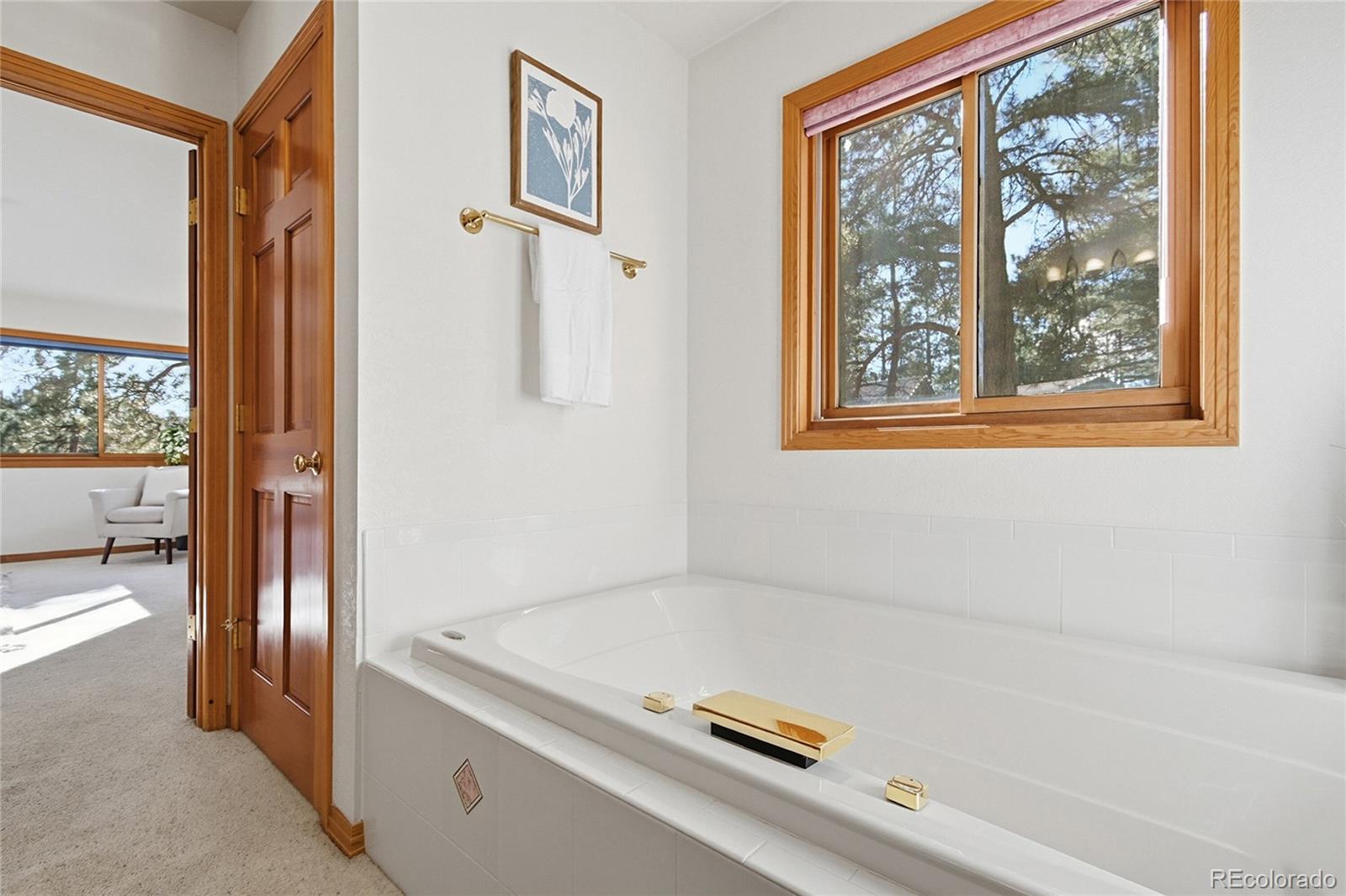 7030 South Blue Creek Road Evergreen, CO 80439 - Photo 33 of 41