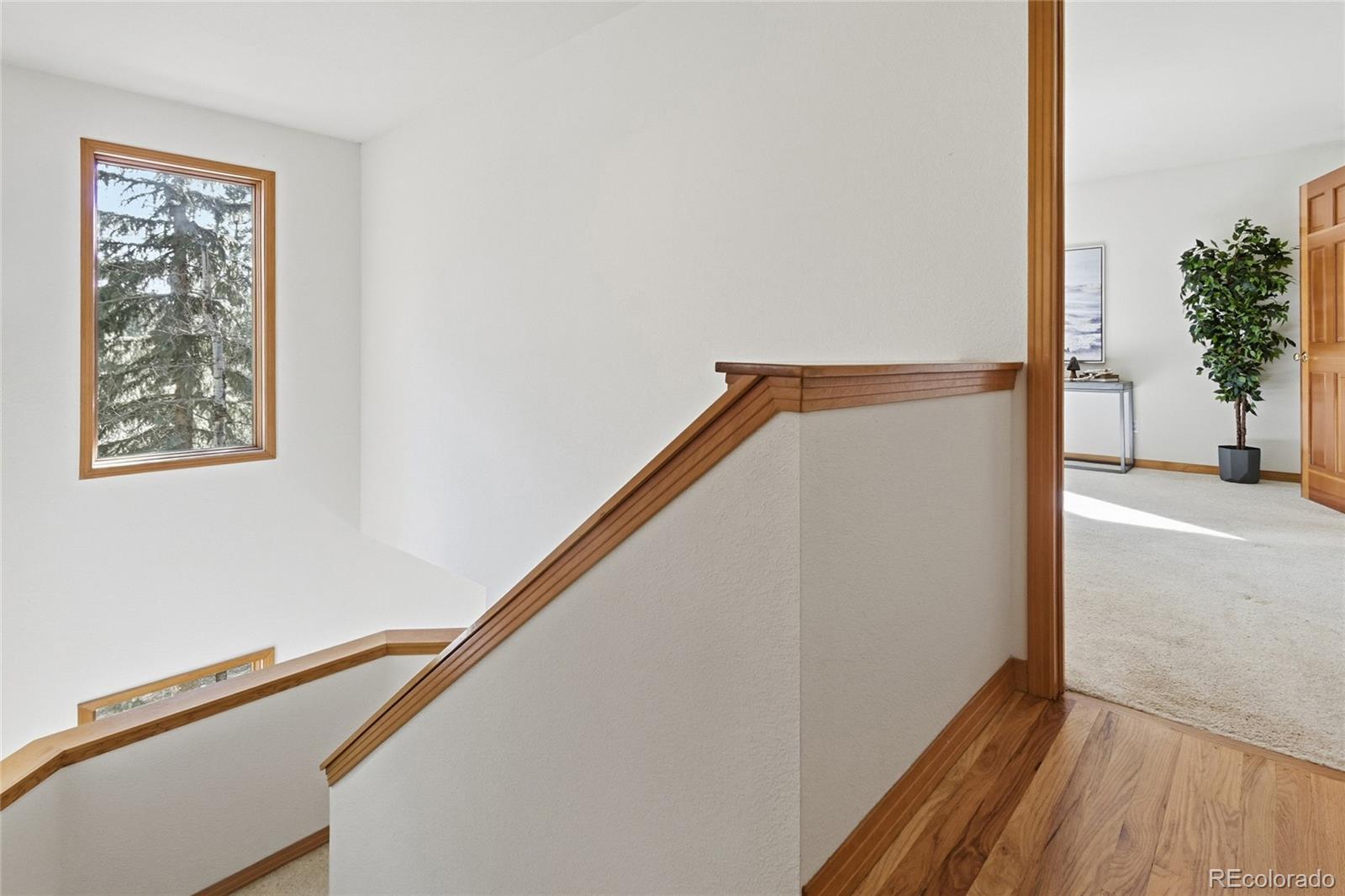 7030 South Blue Creek Road Evergreen, CO 80439 - Photo 34 of 41