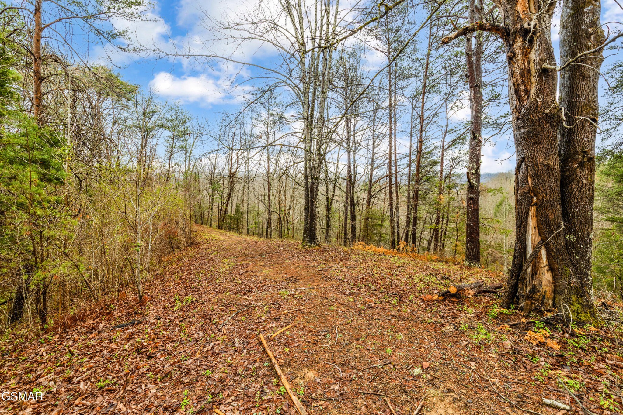 2 Dripping Springs Road Seymour, TN 37865 - Photo 10 of 22 Gallery Image 10