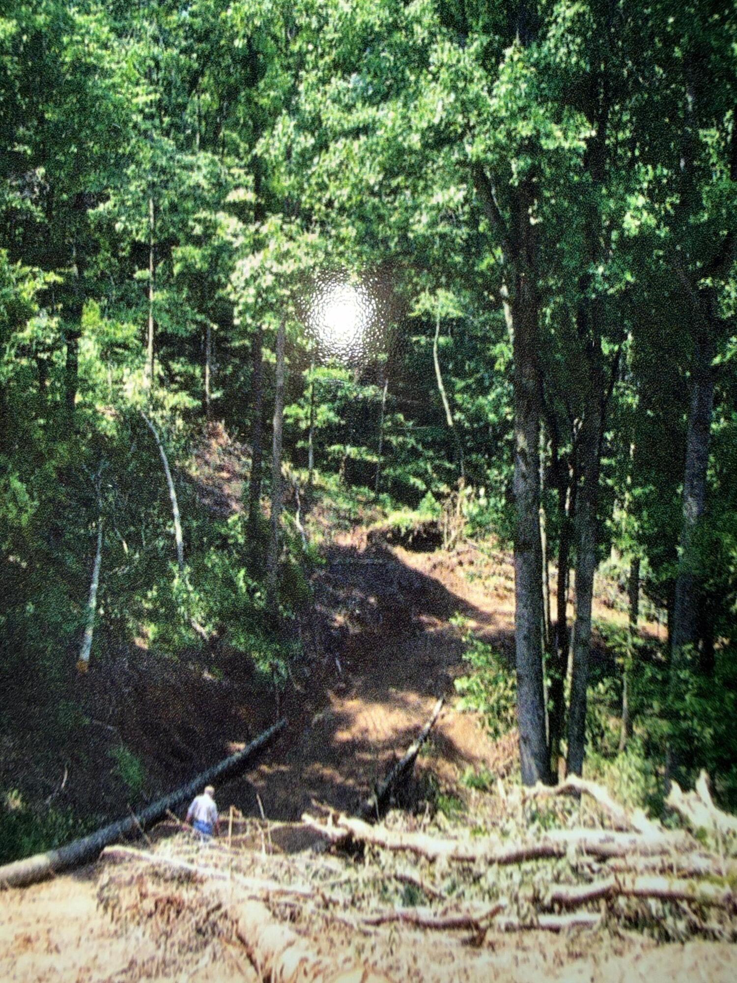 0 Narrow Passage Road Eagle Rock, VA 24085 - Photo 22 of 23 IMG_3766
