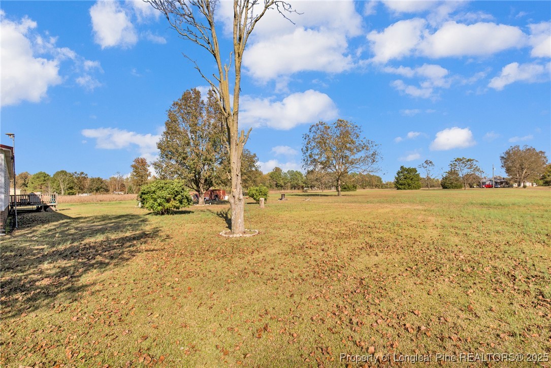 424 Bullard Road Autryville, NC 28318 - Photo 28 of 32 Gallery Image 28