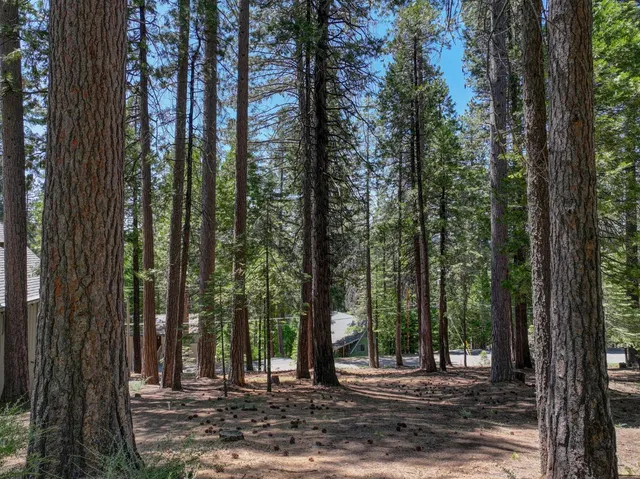 $20,900 | 1955 Seminole Way, Arnold, CA 95223