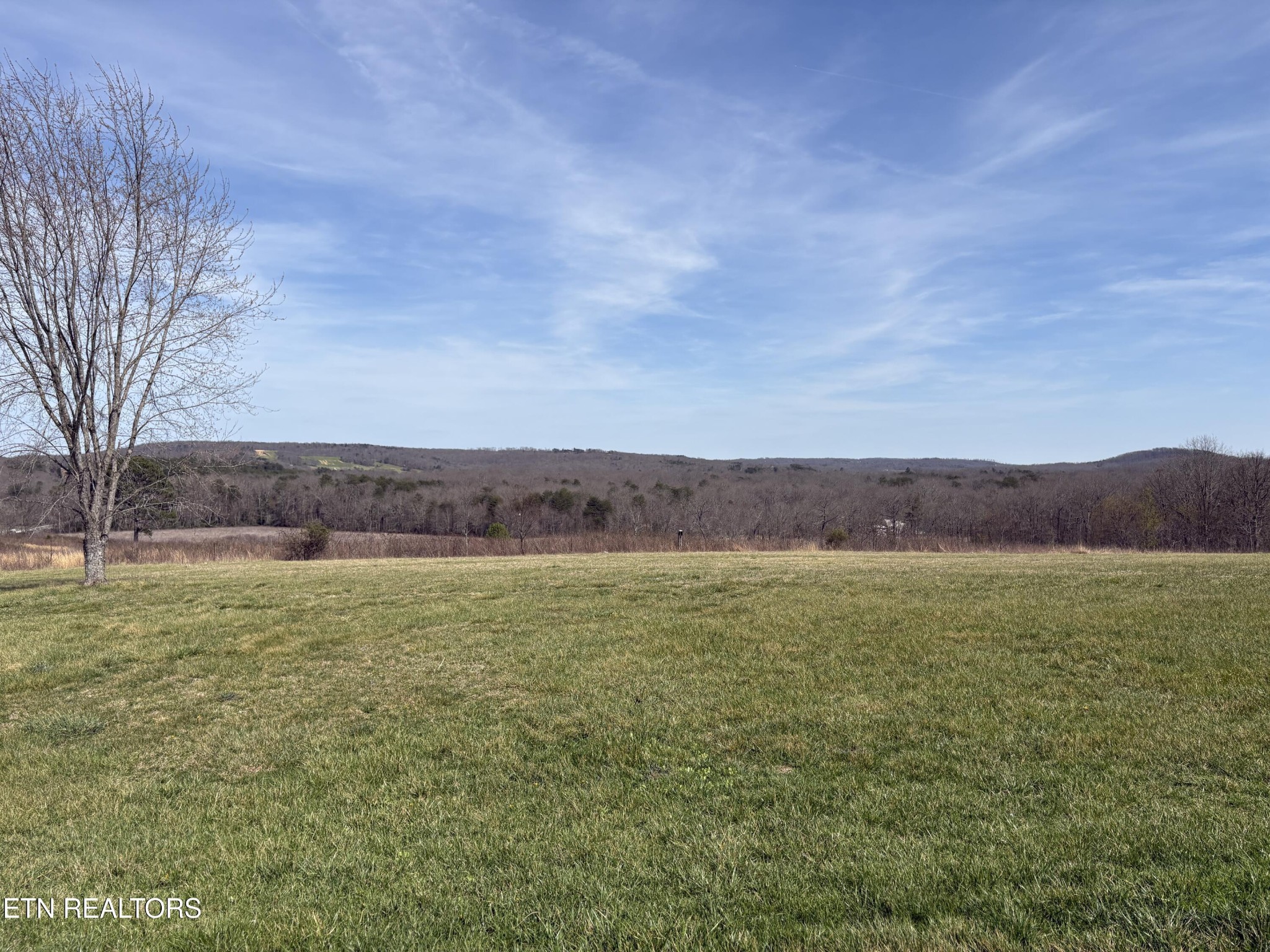 1032 Kendall Smith Road Pikeville, TN 37367 - Photo 27 of 30