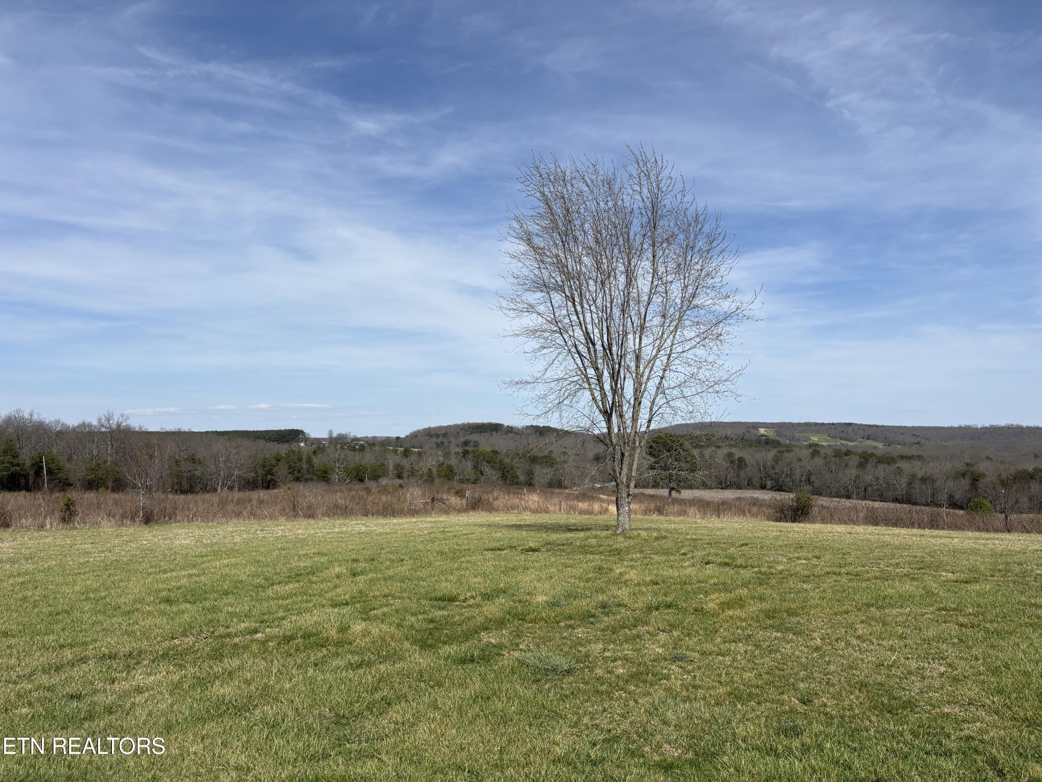 1032 Kendall Smith Road Pikeville, TN 37367 - Photo 28 of 30