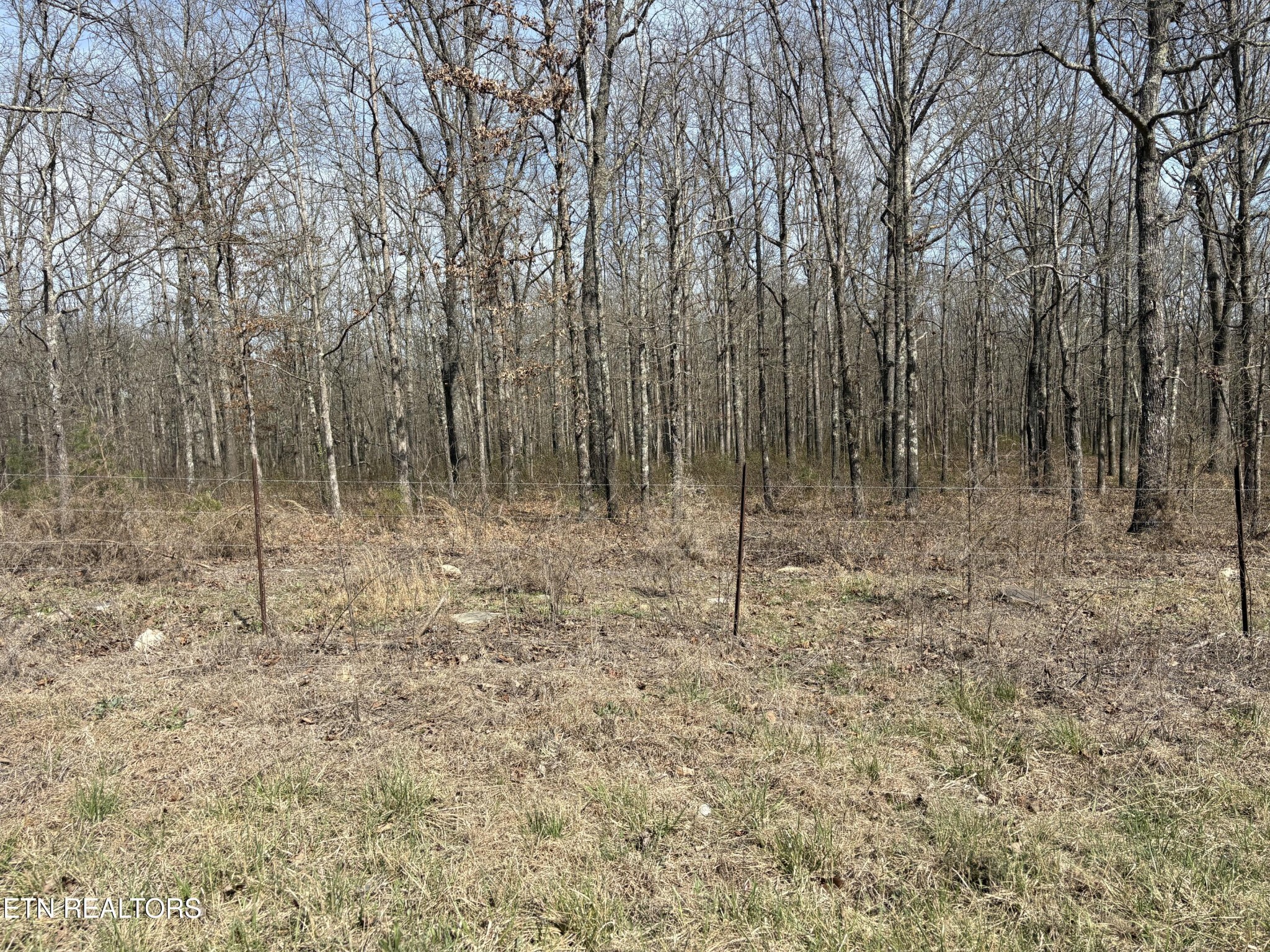 1032 Kendall Smith Road Pikeville, TN 37367 - Photo 30 of 30