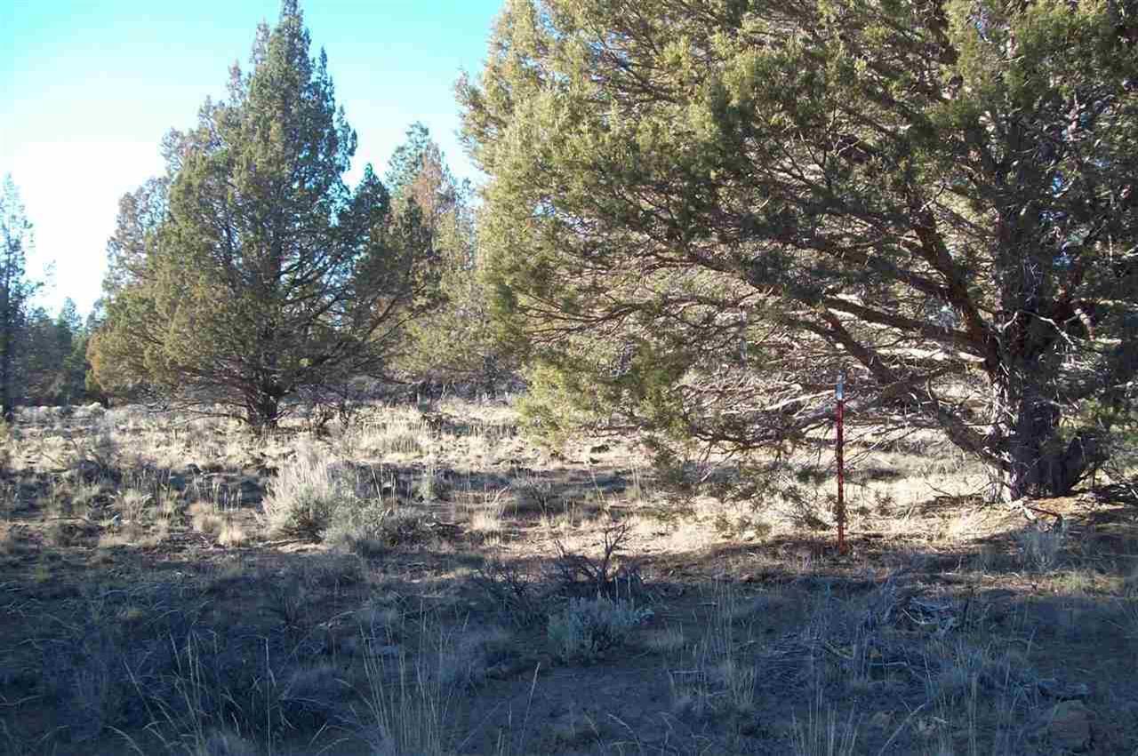 0 Lt 17 Beatty, OR 97621 - Photo 3 of 4 Additional Photo