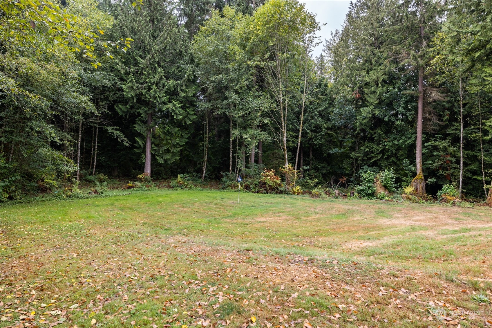835 Alger Cain Lake Road Sedro-Woolley, WA 98284 - Photo 34 of 38 a fire hydrant in the middle of a field