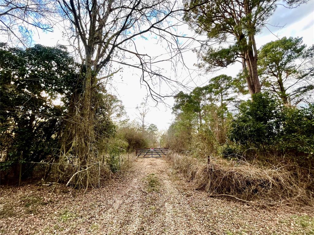 0 Pine Street Heflin, LA 71039 - Photo 10 of 14 Entrance to property. appointment required for entrance