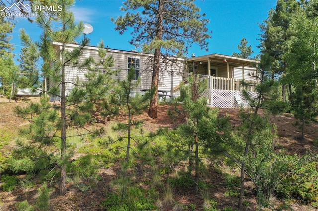 3576 Pathfinder Road Florissant, CO 80816 - Photo 5 of 44 Gallery Image 5