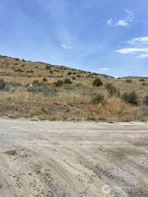 0 Lot 1 Bill Shaw Road Pateros, WA 98846 - Photo 7 of 23
