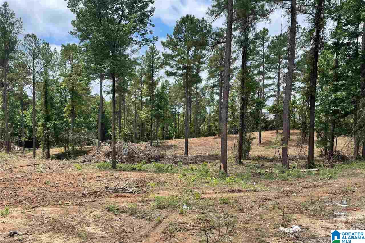 6136 Grey Hill Road West Blocton, AL 35184 - Photo 1 of 4