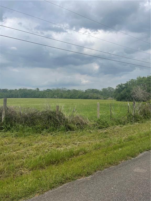 0 Palmer Chapel Road Pineville, LA 71360 - Photo 2 of 5