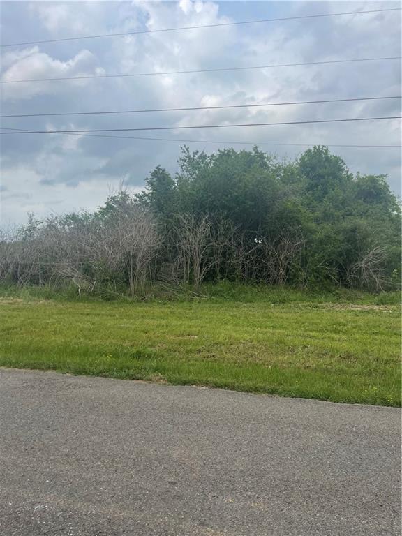0 Palmer Chapel Road Pineville, LA 71360 - Photo 3 of 5