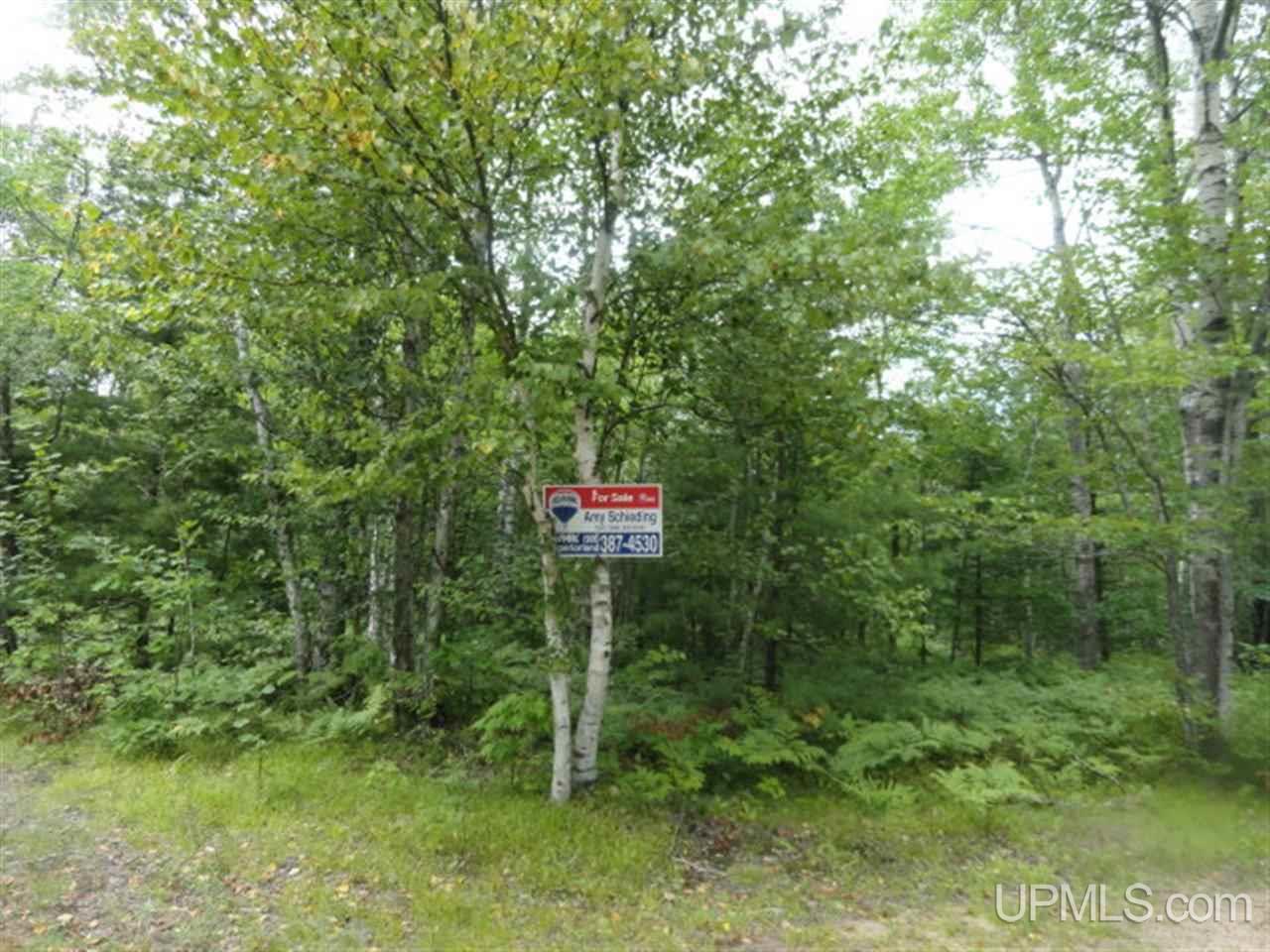 Tbd Chamberlain Road Wetmore, MI 49895 - Photo 4 of 13