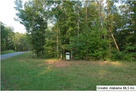 Sunset Ridge, Unit 16 Wedowee, AL 36278 - Photo 3 of 5