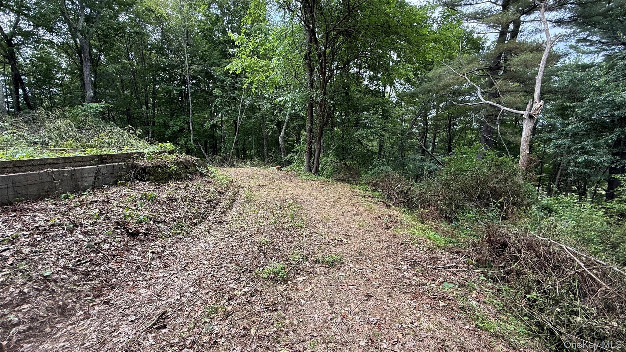 66 Ryan Road Pine Plains, NY 12567 - Photo 4 of 10 Driveway to proposed house location top of the hill