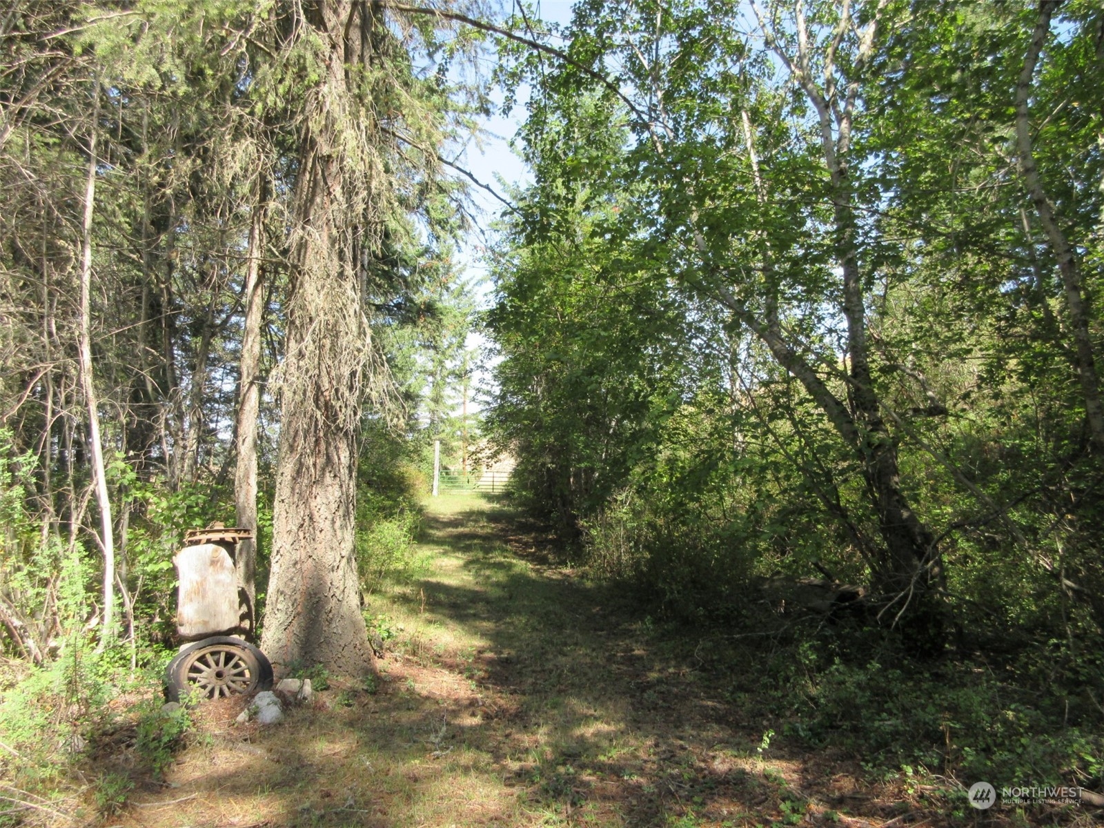 178 Lone Ranch Creek Road Danville, WA 99121 - Photo 13 of 27 Gallery Image 13