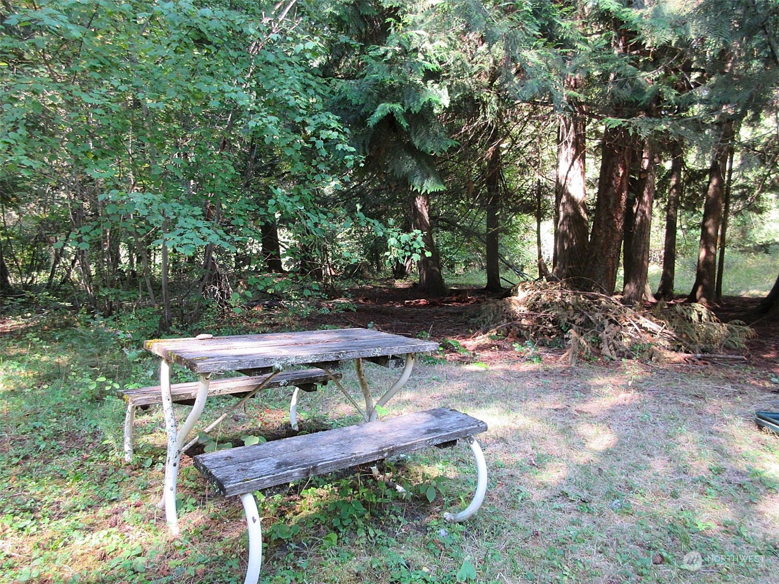 178 Lone Ranch Creek Road Danville, WA 99121 - Photo 14 of 27 Gallery Image 14