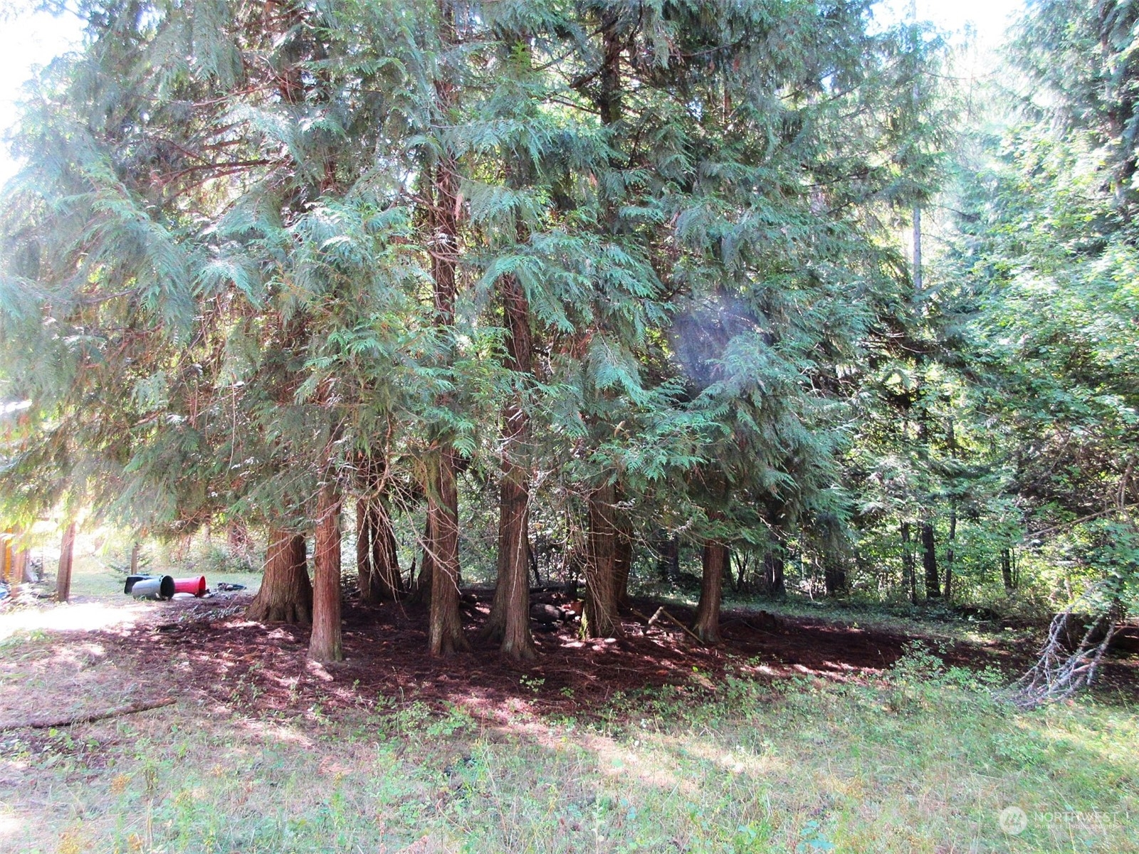 178 Lone Ranch Creek Road Danville, WA 99121 - Photo 15 of 27 Gallery Image 15