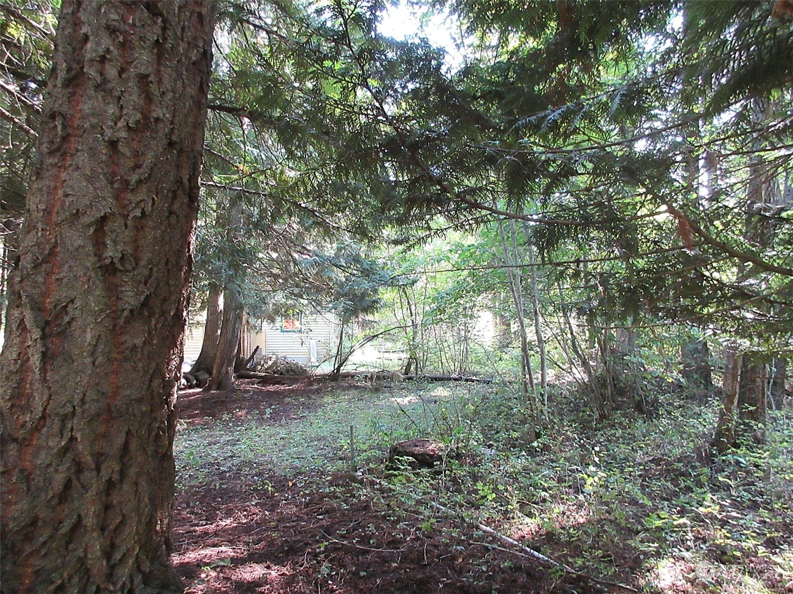 178 Lone Ranch Creek Road Danville, WA 99121 - Photo 16 of 27 Gallery Image 16