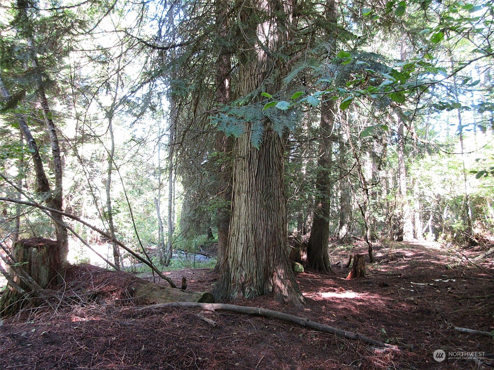 178 Lone Ranch Creek Road Danville, WA 99121 - Photo 17 of 27 Gallery Image 17