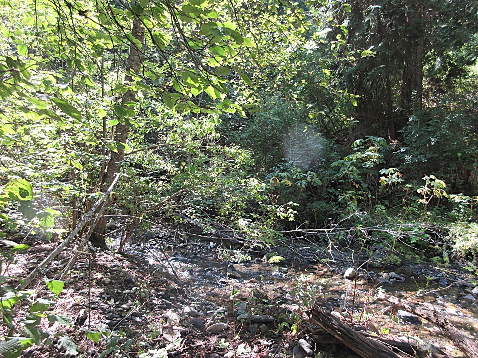 178 Lone Ranch Creek Road Danville, WA 99121 - Photo 18 of 27 Gallery Image 18