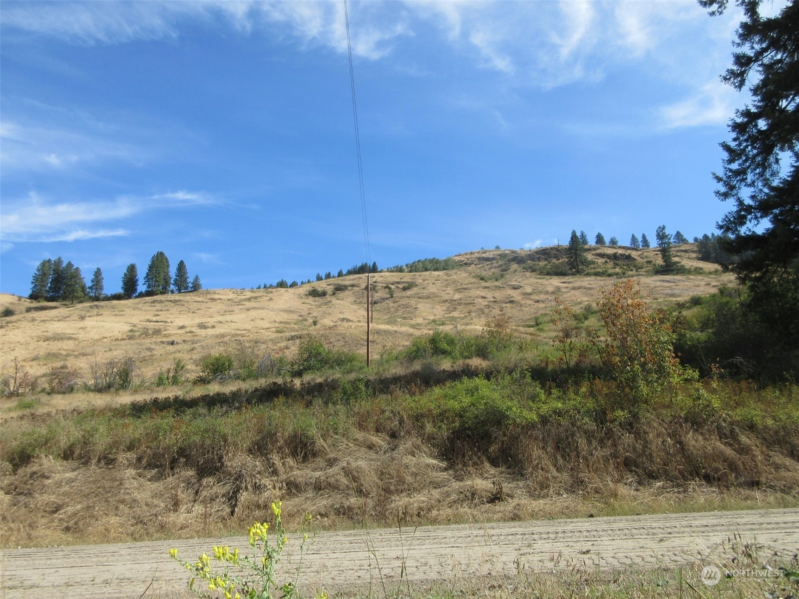 178 Lone Ranch Creek Road Danville, WA 99121 - Photo 20 of 27 Gallery Image 20