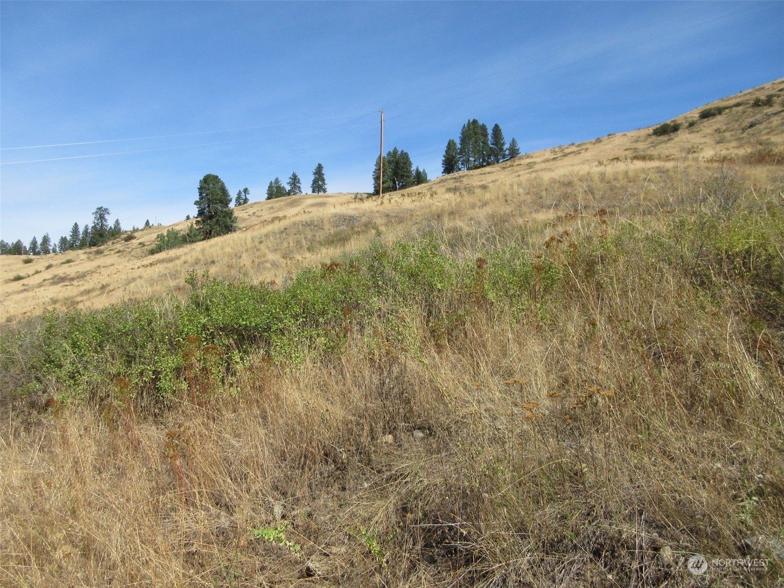 178 Lone Ranch Creek Road Danville, WA 99121 - Photo 25 of 27 Gallery Image 25