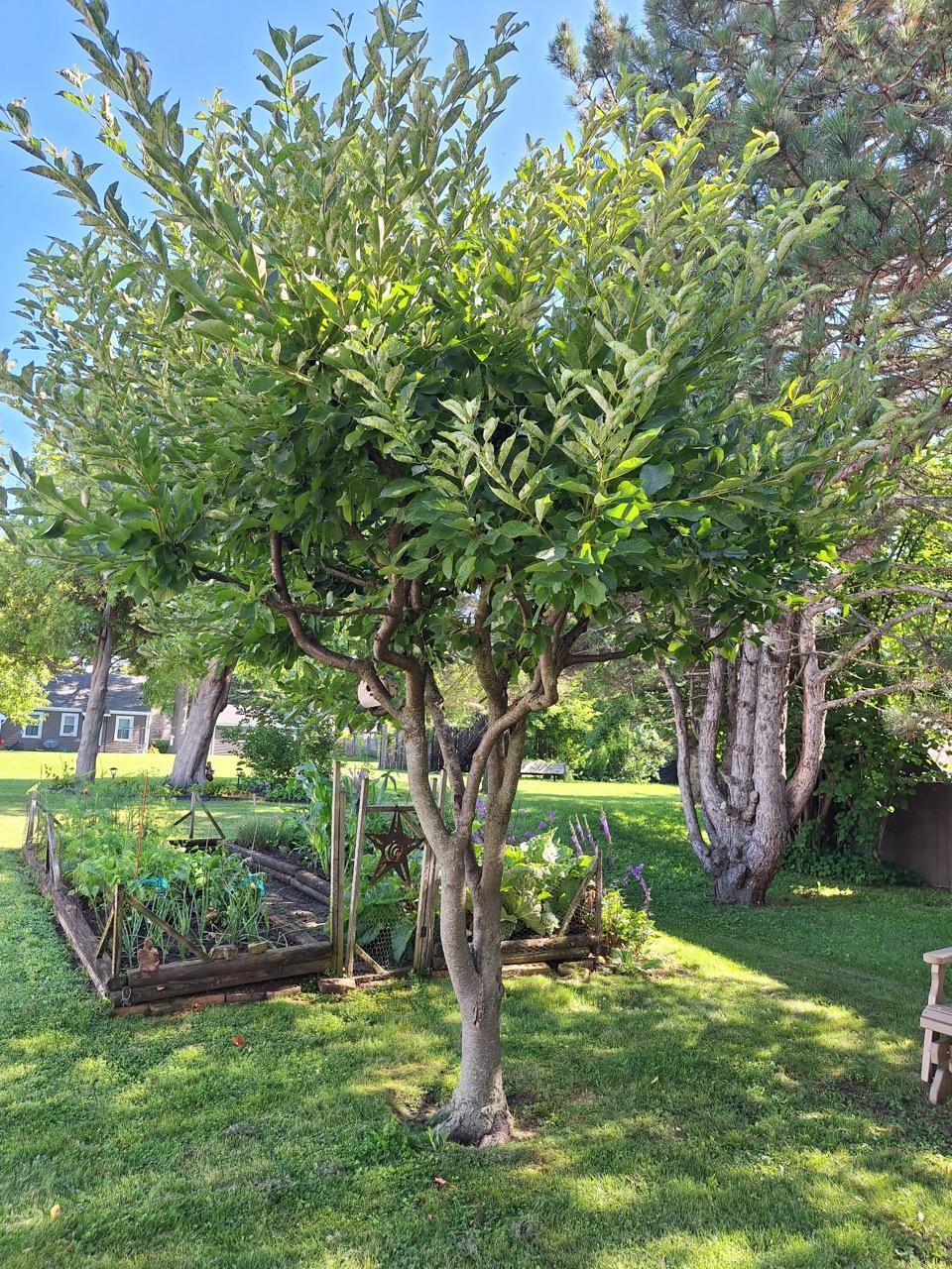 521 Center Street Kewaunee, WI 54216 - Photo 6 of 28 605335033