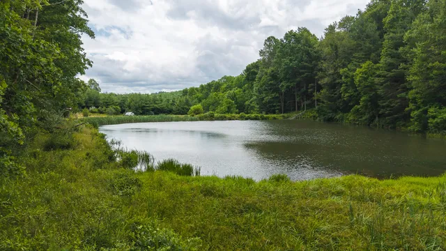 $289,000 | 0 Ferney Creek Road Northwest, Willis, VA 24380