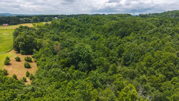 $274,500 | 0 Ferney Creek Road Northwest, Willis, VA 24380