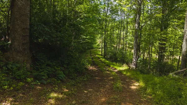 $274,500 | 0 Ferney Creek Road Northwest, Willis, VA 24380