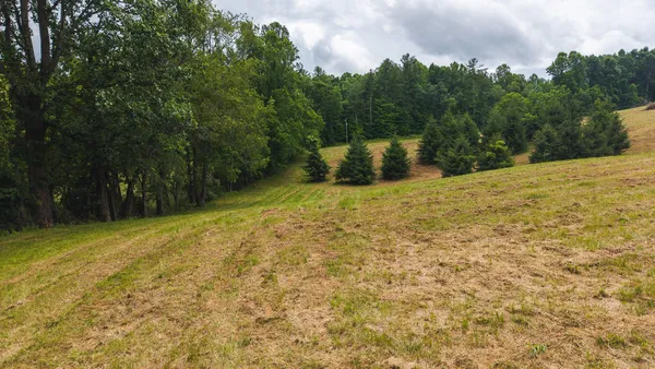 $274,500 | 0 Ferney Creek Road Northwest, Willis, VA 24380
