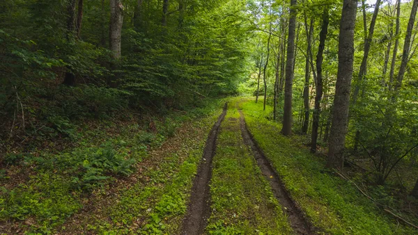 $274,500 | 0 Ferney Creek Road Northwest, Willis, VA 24380