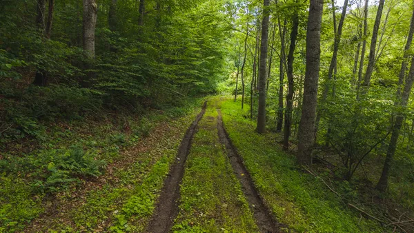 $274,500 | 0 Ferney Creek Road Northwest, Willis, VA 24380