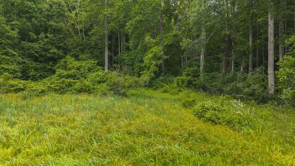 $274,500 | 0 Ferney Creek Road Northwest, Willis, VA 24380