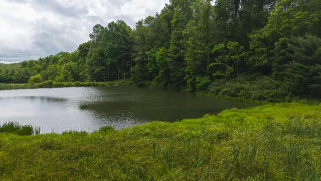 $289,000 | 0 Ferney Creek Road Northwest, Willis, VA 24380