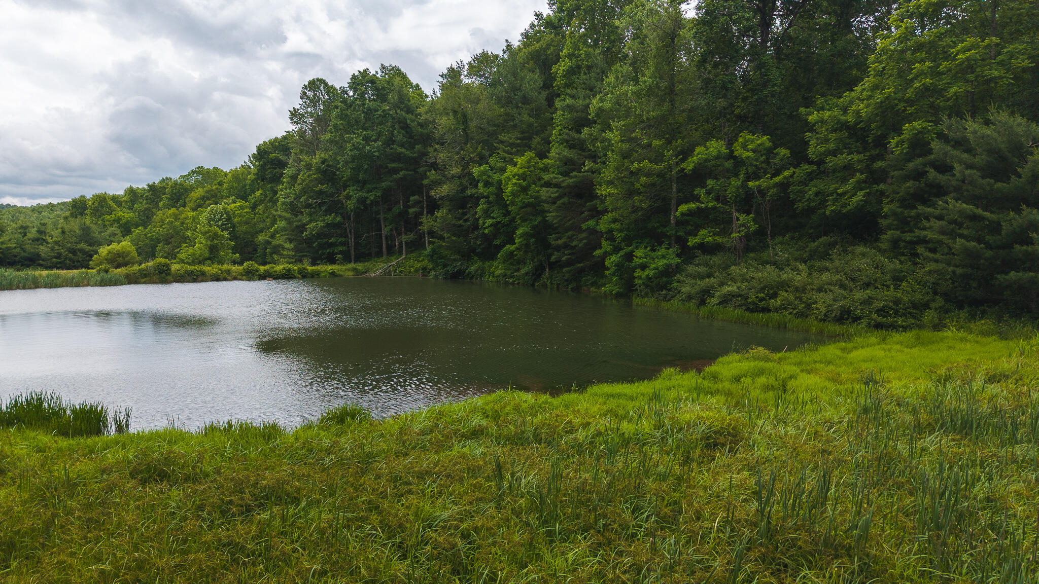 0 Ferney Creek Road Northwest Willis, VA 24380 - Photo 18 of 29 DJI_20250618133149_0413_D
