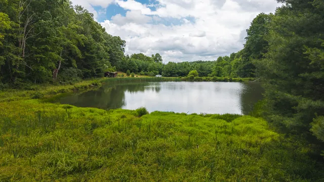 $289,000 | 0 Ferney Creek Road Northwest, Willis, VA 24380