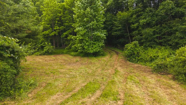 $289,000 | 0 Ferney Creek Road Northwest, Willis, VA 24380