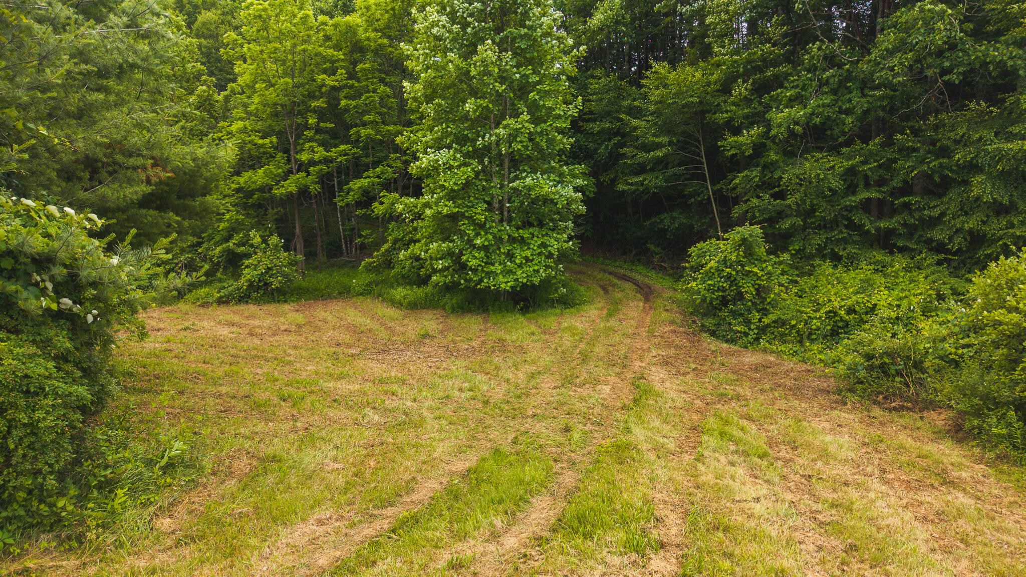 0 Ferney Creek Road Northwest Willis, VA 24380 - Photo 20 of 29 DJI_20250618133535_0423_D
