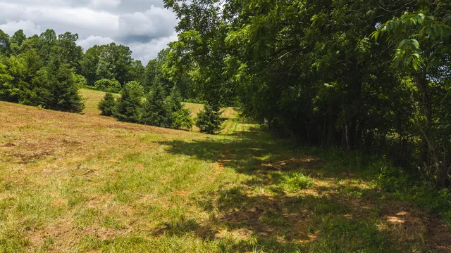 $289,000 | 0 Ferney Creek Road Northwest, Willis, VA 24380