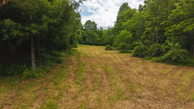 $289,000 | 0 Ferney Creek Road Northwest, Willis, VA 24380