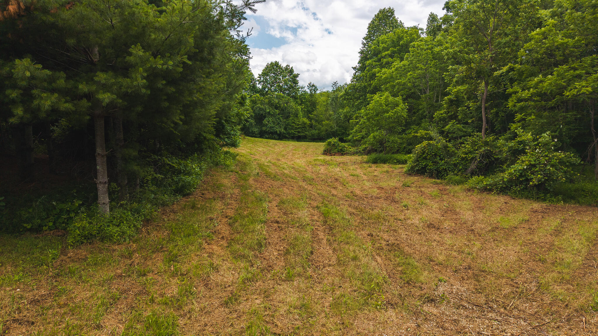 0 Ferney Creek Road Northwest Willis, VA 24380 - Photo 21 of 29 DJI_20250618133541_0424_D