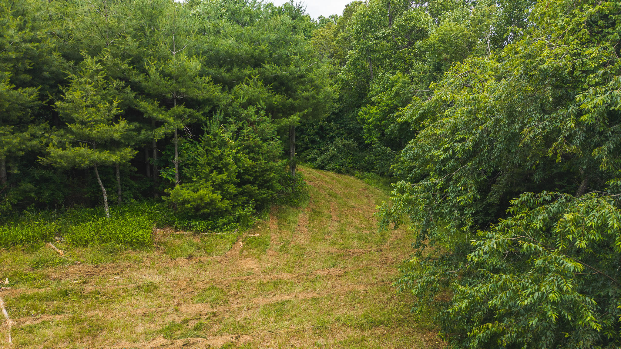 0 Ferney Creek Road Northwest Willis, VA 24380 - Photo 22 of 29 DJI_20250618133622_0426_D