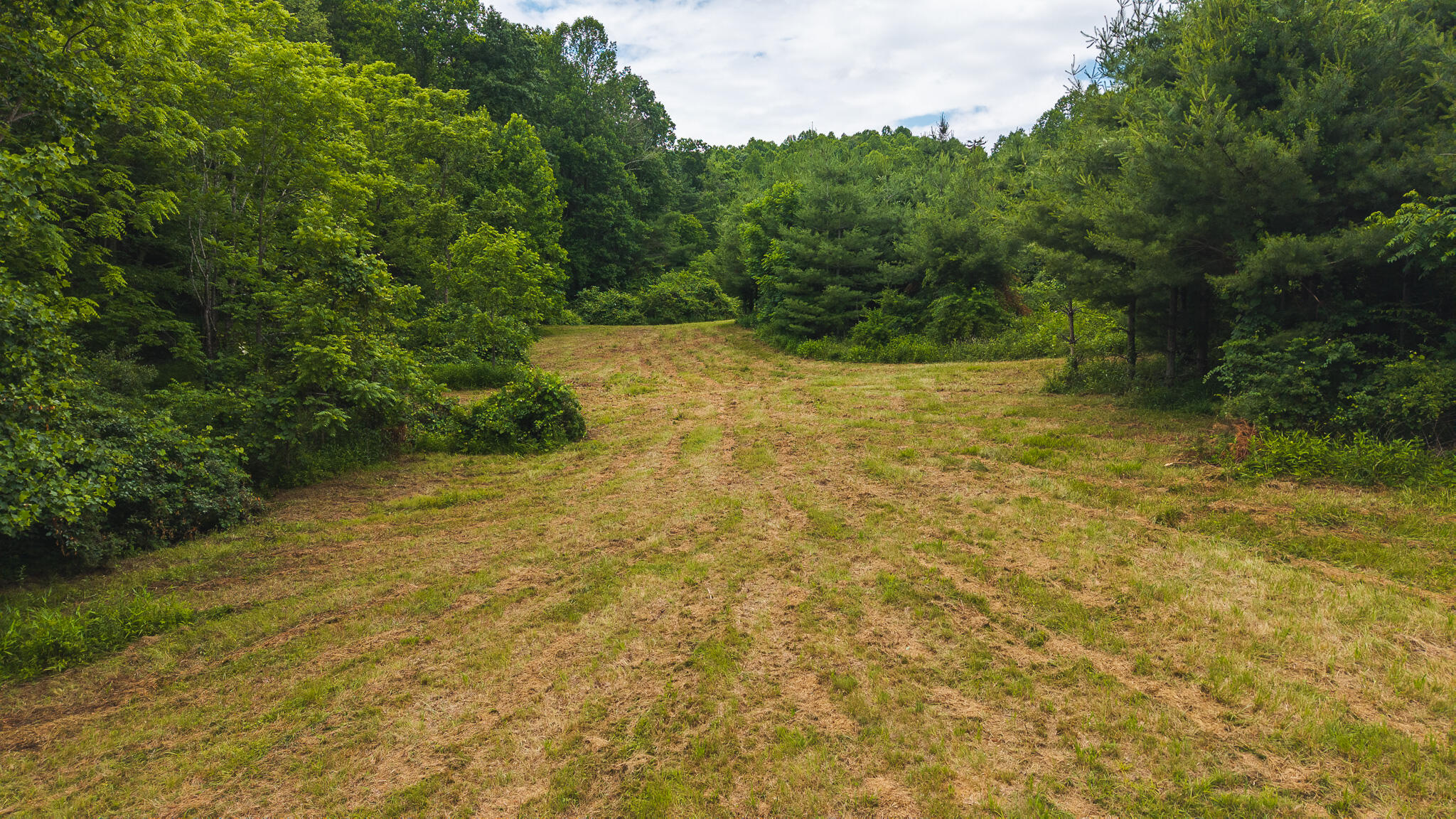 0 Ferney Creek Road Northwest Willis, VA 24380 - Photo 23 of 29 DJI_20250618133628_0427_D